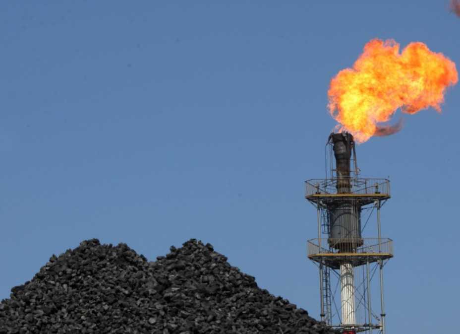 k1���� - ʮ��Ʒ�� ֵ������